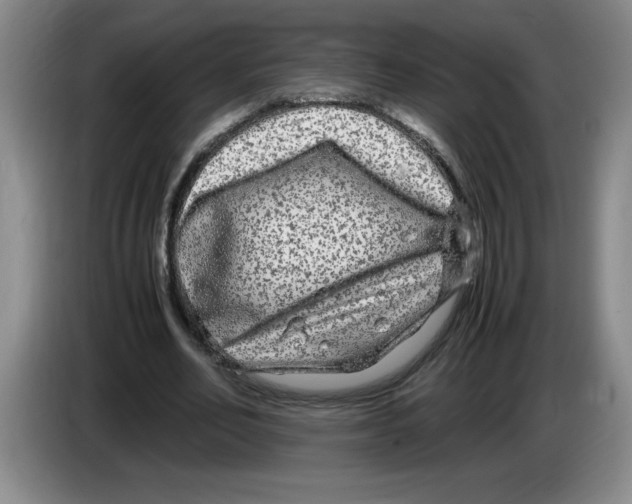 X0000083600582200703091743