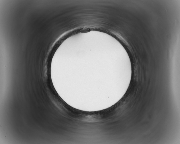 X0000083600584200703091743