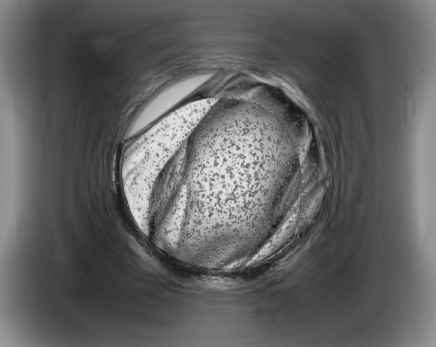 X0000083600585200703091743