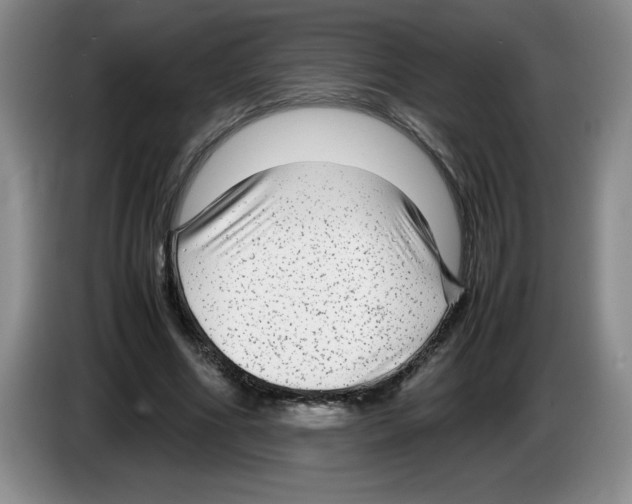 X0000083600586200703091743