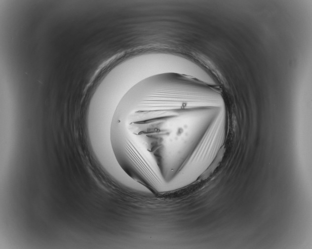 X0000083600588200703091743