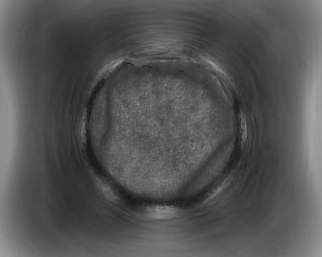 X0000083600590200703091743