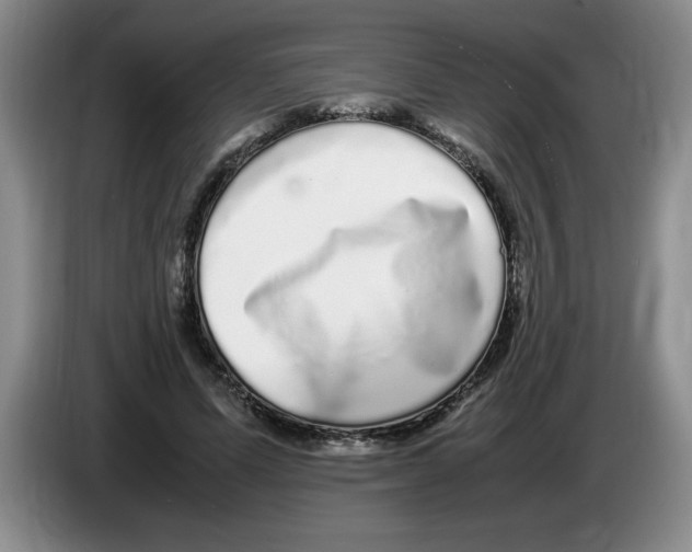 X0000083600591200703091743