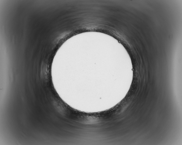 X0000083600592200703091743