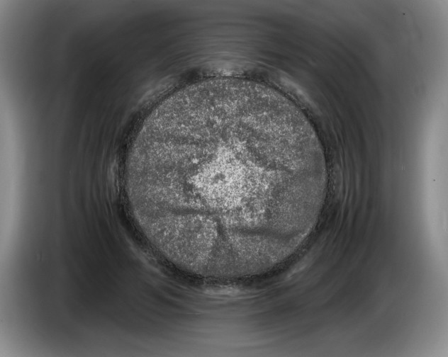 X0000083600594200703091743