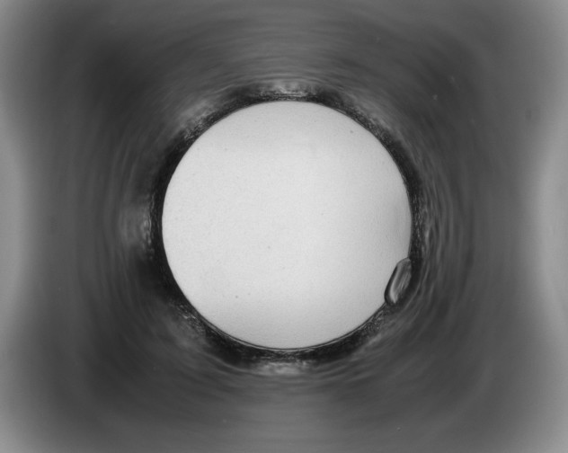 X0000083600595200703091743