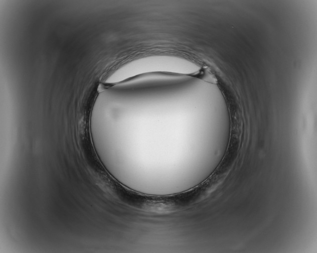 X0000083600597200703091743