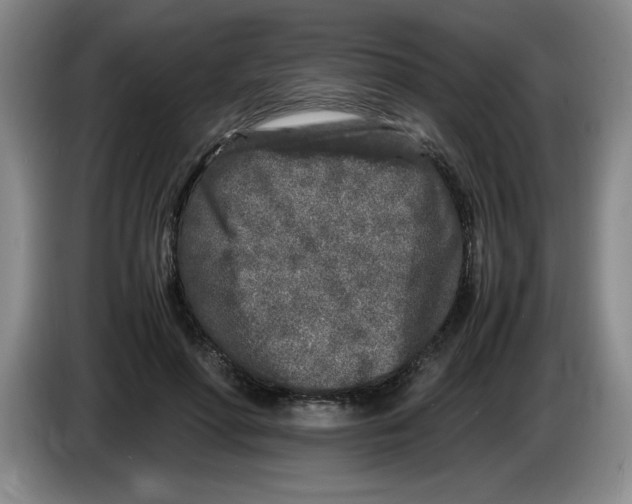 X0000083600598200703091743