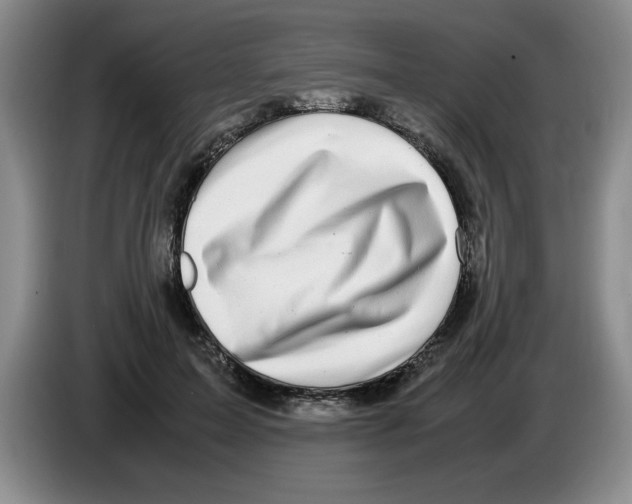 X0000083600599200703091743