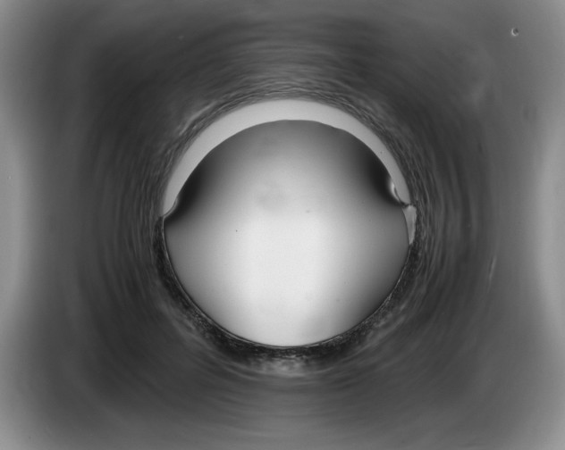 X0000083600600200703091743