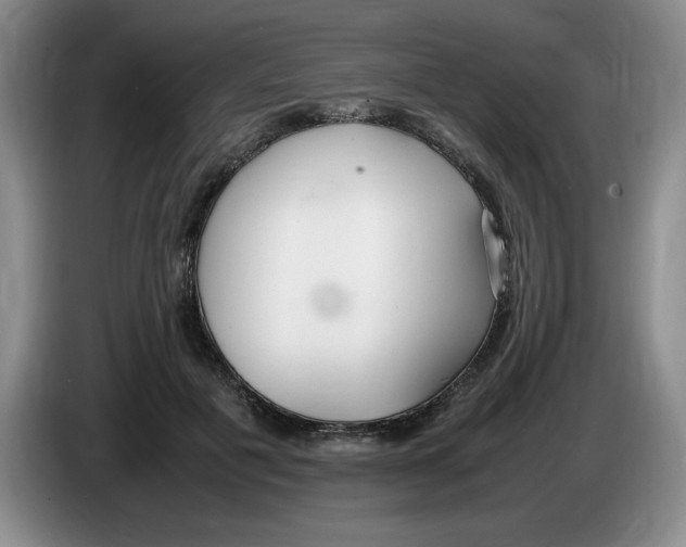 X0000083600601200703091743