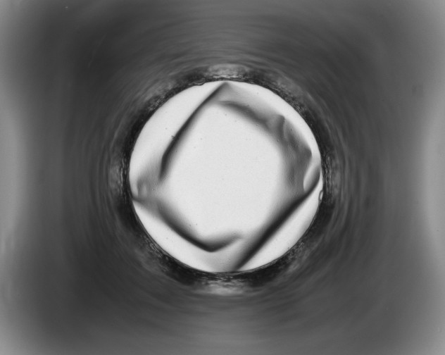 X0000083600603200703091743