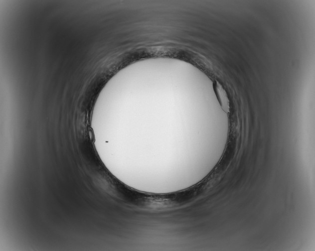 X0000083600605200703091743