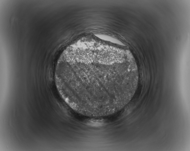 X0000083600606200703091743