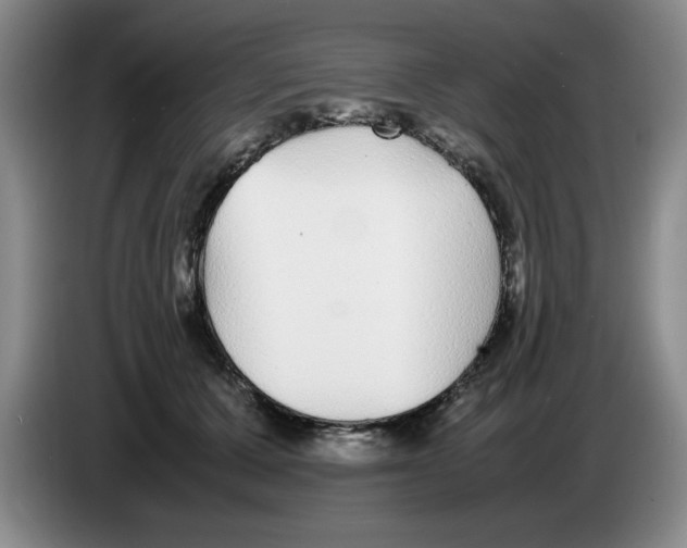 X0000083600607200703091743