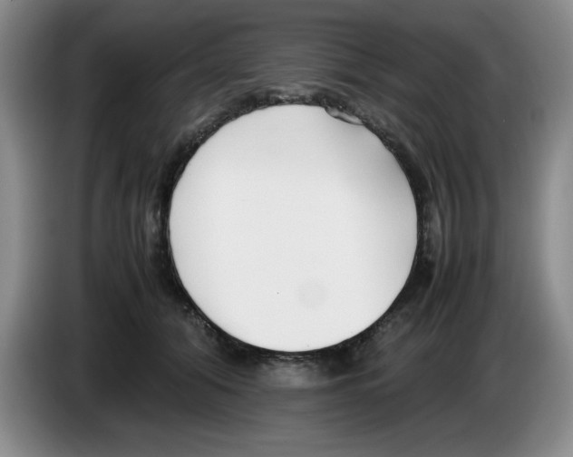 X0000083600608200703091743