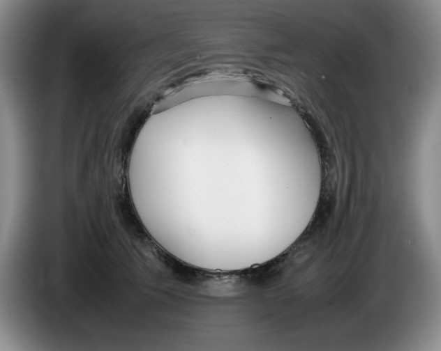 X0000083600609200703091743