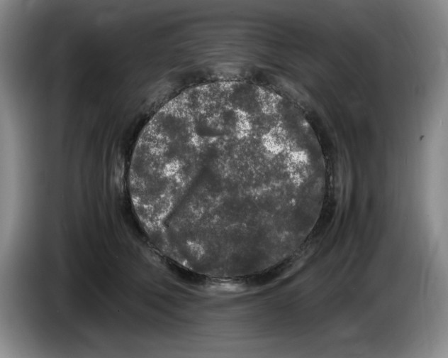 X0000083600610200703091743