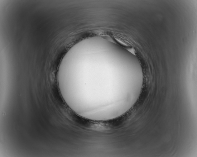 X0000083600611200703091743