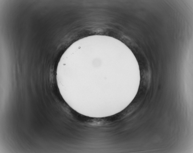 X0000083600612200703091743