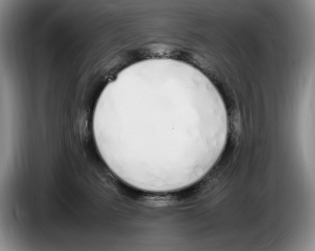 X0000083600615200703091742