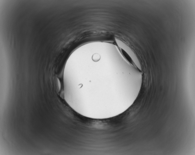 X0000083600616200703091742