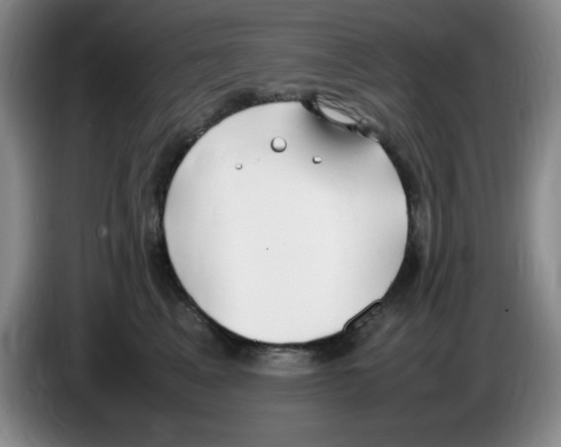 X0000083600617200703091742