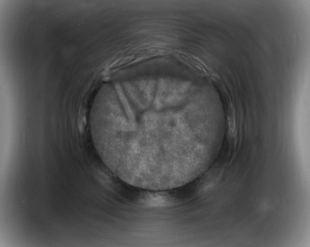 X0000083600618200703091742