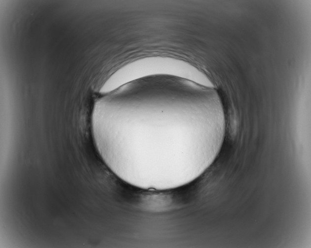 X0000083600619200703091742