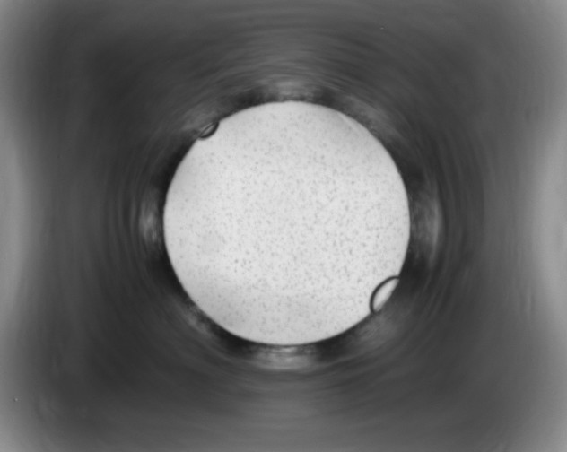 X0000083600622200703091742