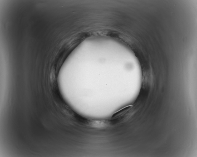 X0000083600623200703091742