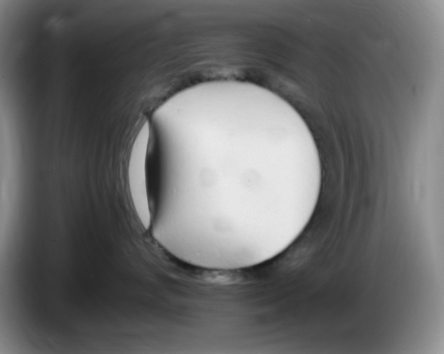 X0000083600624200703091742