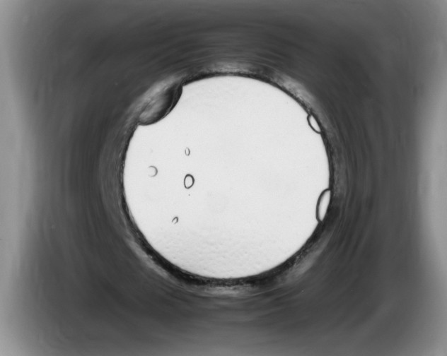 X0000083600625200703091742