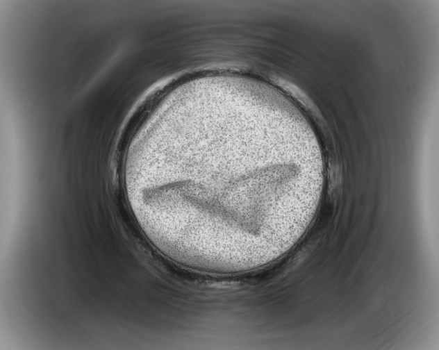 X0000083600628200703091742