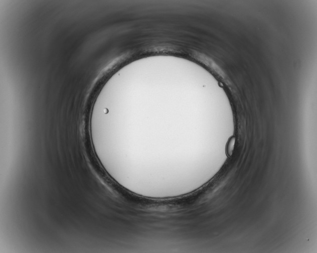 X0000083600629200703091742