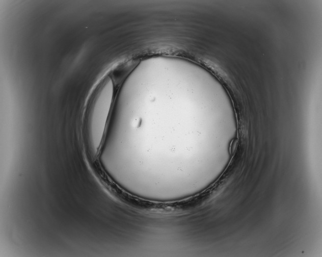 X0000083600630200703091742