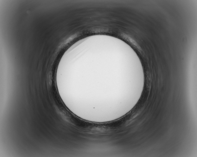 X0000083600631200703091742