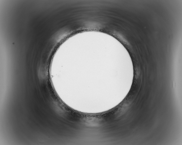 X0000083600632200703091742