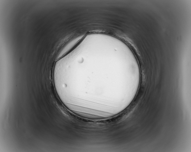 X0000083600633200703091742