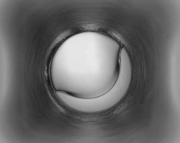 X0000083600634200703091742