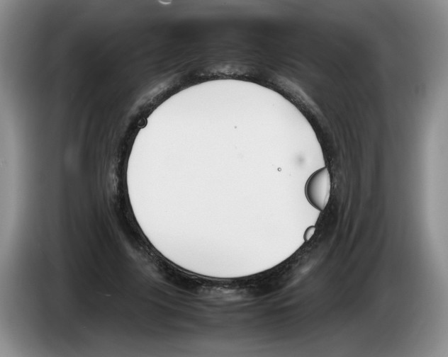 X0000083600635200703091742