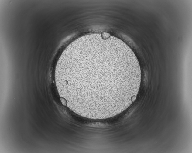 X0000083600636200703091742