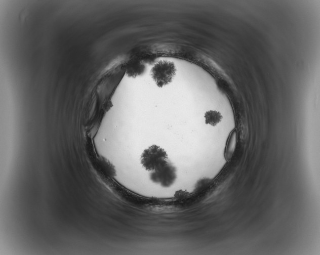 X0000083600637200703091742