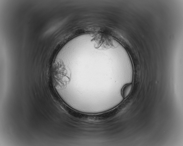 X0000083600641200703091742