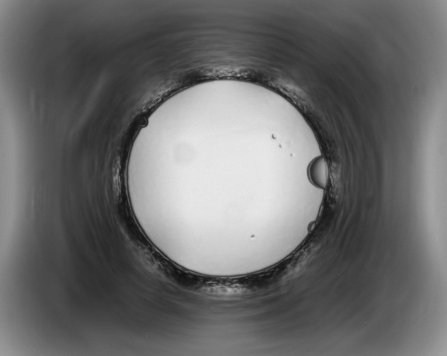 X0000083600642200703091742