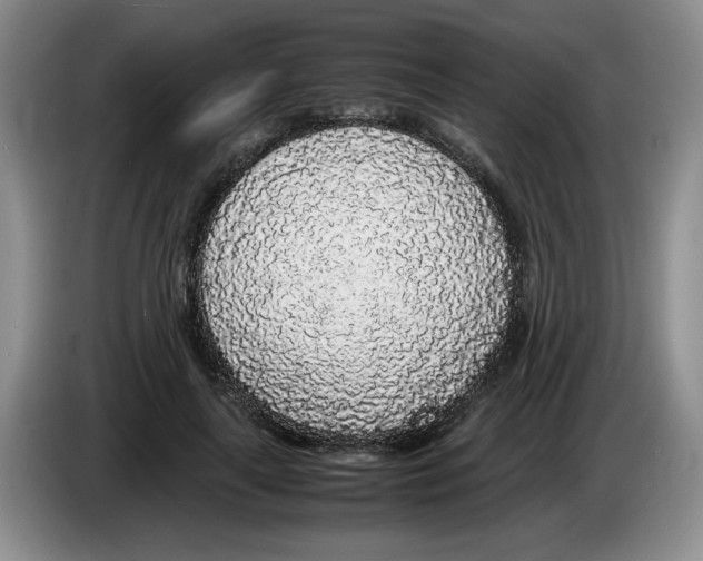 X0000083600643200703091742