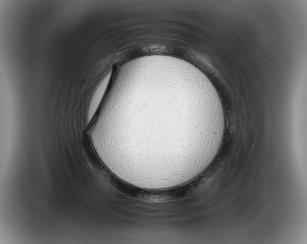 X0000083600645200703091742