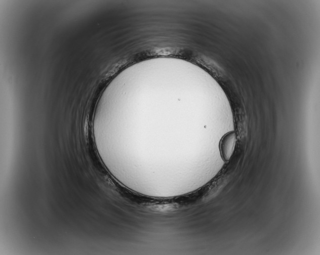 X0000083600646200703091742