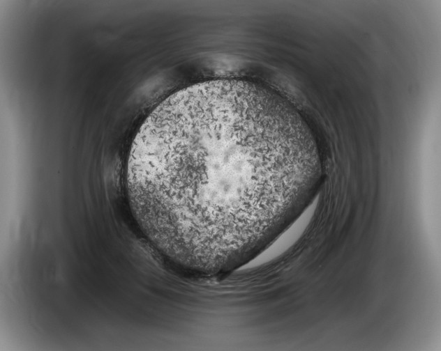 X0000083600650200703091742