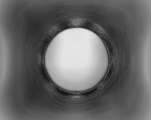 X0000083600651200703091742